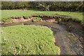 Bank erosion, Inchford Brook in CV8 1NN