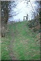 Footpath up Easton Hollow in SP7 0HS