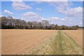 Footpath towards The Drove in SP11 7BT