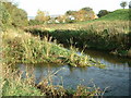 River Beal meets River Roch in OL16 2PS