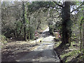 Ash Lane fords Clayhill Brook in RG7 3XU