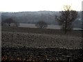 Fallow fields off the A1000 in EN5 4QB