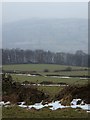 Fields above Hallmoor Wood in DE4 2FZ
