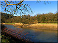River Wye at Tintern Abbey in NP16 6TE