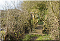 A footbridge with another just beyond in Bretherton