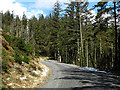 Forestry road by Bryn-llwyd in Pontarfynach Community