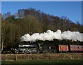 Great Marquess steam locomotive on the Churnet Valley Railway in ST10 2BQ