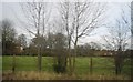 Field through the trees by the railway line in HP17 8AL