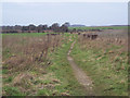 Bridleway from Hurdcott to Salterton in SP4 6FP