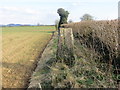 Ordnance Survey Trig Pillar S5915 in BA4 6TG