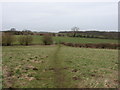 Footpath across pasture fields in Forest Hill & Holton Ward