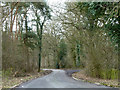 A lane through woodland in CM7 5PB