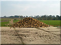A heap of beet in CM7 5DX