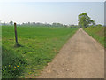 Farm track south of Barton in the Beans in CV13 0DU