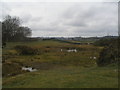 Wetland area north of Ratherheath Lane in LA8 8JT