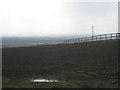 Fence above the Parrett in Pawlett
