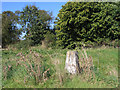 Trig point beside Church Lane, Harpley in PE31 6TH