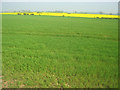 Arable land east of Bolsover in S44 6FX