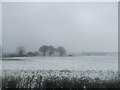 Snow covered field near Hersden in CT3 4GE