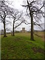 Olliver's Tower folly, through trees in DL10 5QG