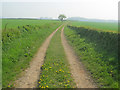 Farm track east of Scarcliffe in S44 6TQ