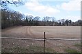 Farmland south of Hook Lane (bridleway) in SP11 8BH