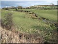 Stream on the slopes of Dowfold Hill above Crook in DL15 9AF
