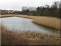 Pond on Masterton Road in KY11 8RX