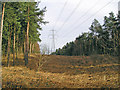 Pylon Route through Rowland Plantation in DN15 0DB