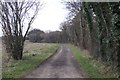 Byway from Abbotts Ann in Anna Ward