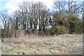 Scrub by Dunkirt Barn in Anna Ward