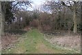 Private access - Great Wood in Anna Ward