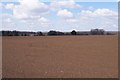 Farmland north of Dunkirt Lane in Anna Ward