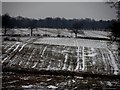 Fallow fields and snow in AL9 6NQ