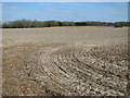 View towards Three Acre Plantation, Worlingham in Beccles & Worlingham Ward