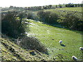 Hinton Parva combe (4) in SN4 0DR