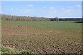 Arable field near Westhide in HR1 3RL