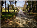 Lane from Standen Manor in RG17 0RB