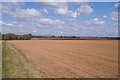 Fields alongside The Drove (byway) in SP11 7BT