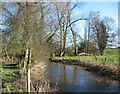River Weaver, near Woodcotthill Farm in CW5 8EL