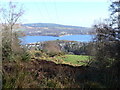 Kilcreggan- Barremman Gare Loch Forestry Track in G84 0RL