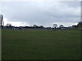 College sports ground in DN34 5LA