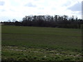 Farmland off Great Coates Road  in DN37 9PT