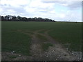Farmland off Laporte Road in DN31 3AS