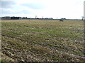 Farmland north of Ulceby in DN39 6XU