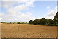 Cornfield looking East in BA4 5FL