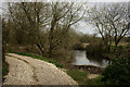 Path Beside the Stream in BH20 6HL