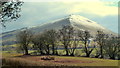 Mynydd Troed from Genfordd in LD3 0EY