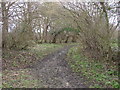 Bridleway from Polecat End in OX33 1EH