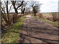 The Essex Way between Peppers Green and Shellow Bowells in CM5 0SS